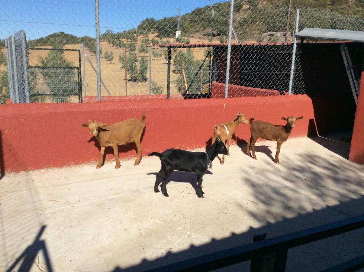 阿奇多纳 Santa Marta Complejo Rural Con Pista De Padel旅馆 外观 照片